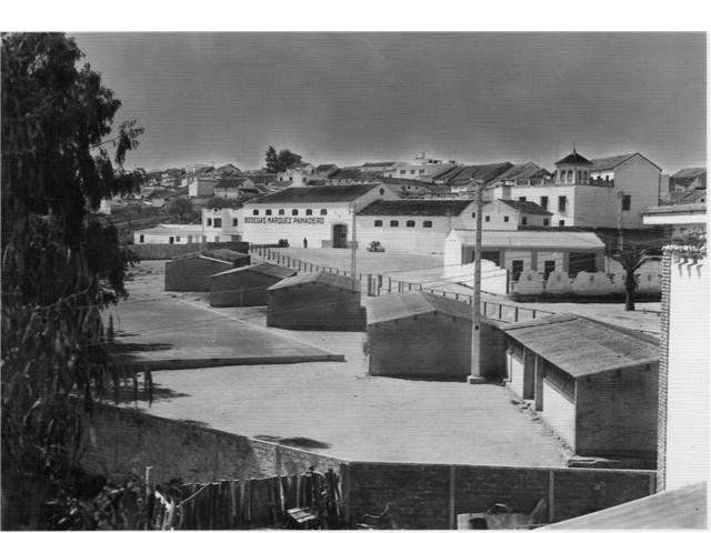 El Paseo de las Rosas